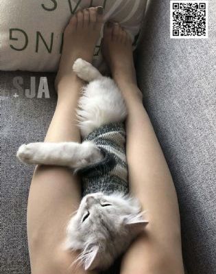 诡探前传 电视剧_蓝光神马影院手机在线