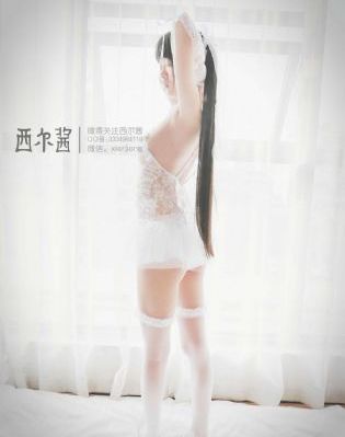 文豪野犬第一季全集免费观看_4K动漫在线观看